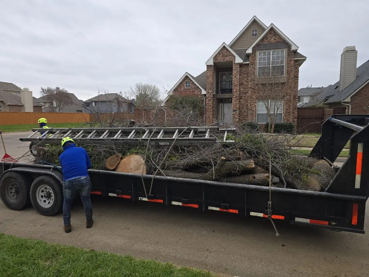 Expert Lot Clearing with proper safety equipment in Gustine